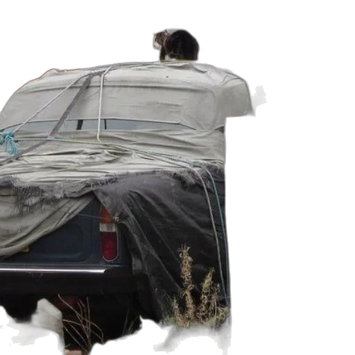 car, jacket, dress, umbrella transparent PNG cut-out