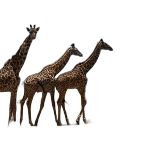 animal, crown, 3d render, concept art transparent PNG cut-out