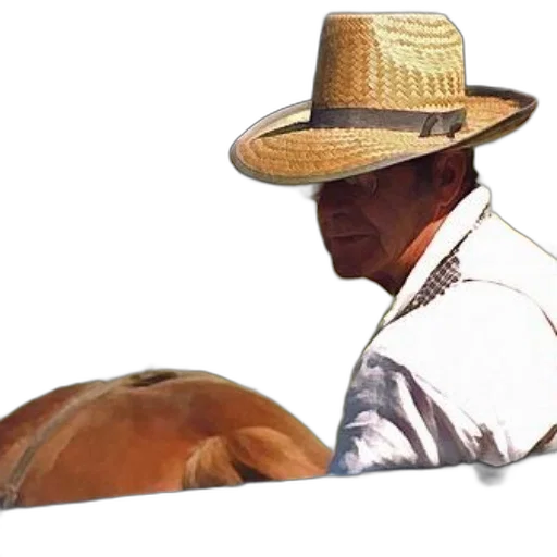 hat, animal, mask, staff transparent PNG cut-out
