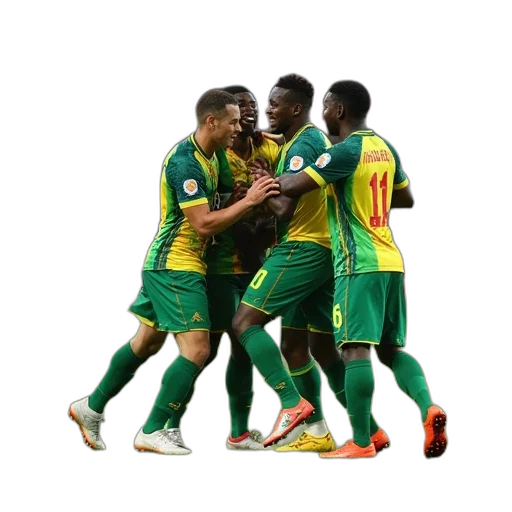 cameroon, players, celebrate, penalty transparent PNG cut-out