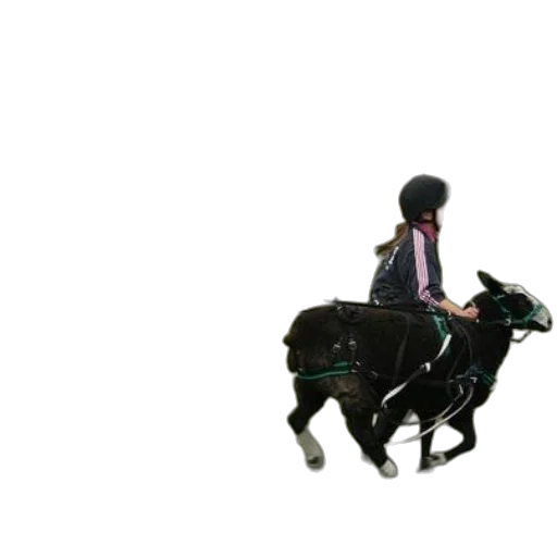 animal, jacket, creature, robot transparent PNG cut-out