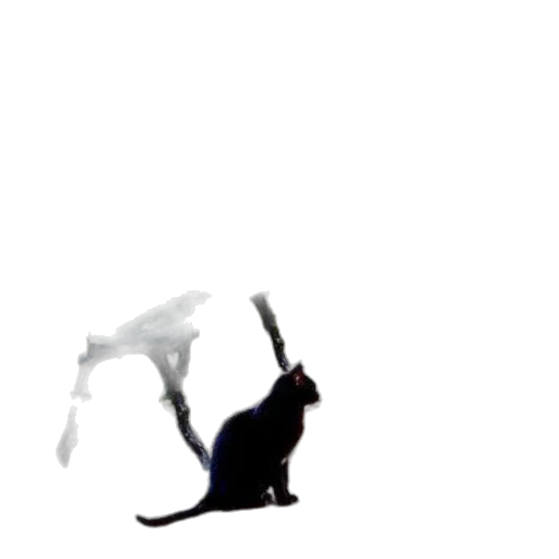 dragon, animal, creature, weapon transparent PNG cut-out
