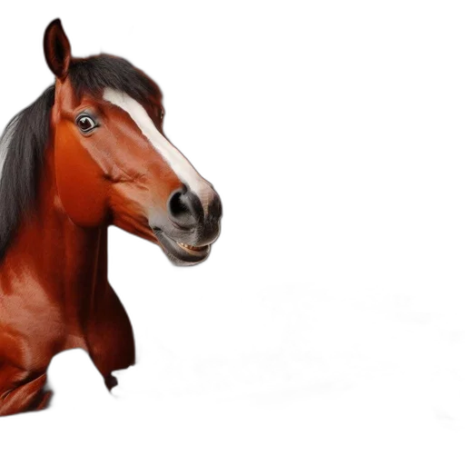 animal, creature, hair, face transparent PNG cut-out