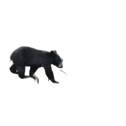 animal, creature, staff, weapon transparent PNG cut-out