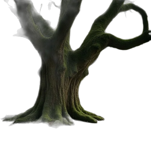 tree, creature, staff, hair transparent PNG cut-out