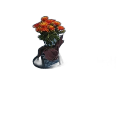 flower, staff, robot, crown transparent PNG cut-out