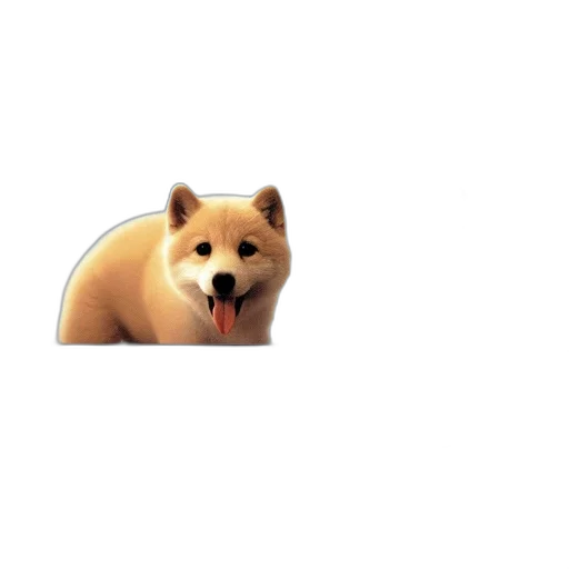 animal, creature, face, staff transparent PNG cut-out