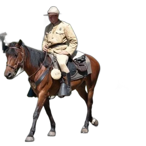animal, staff, weapon, hat transparent PNG cut-out