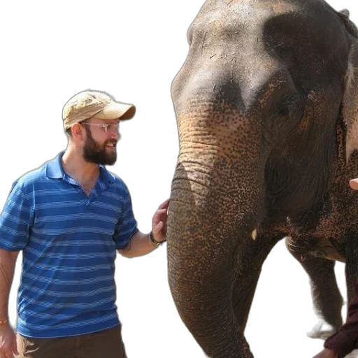 animal, staff, creature, photorealistic transparent PNG cut-out