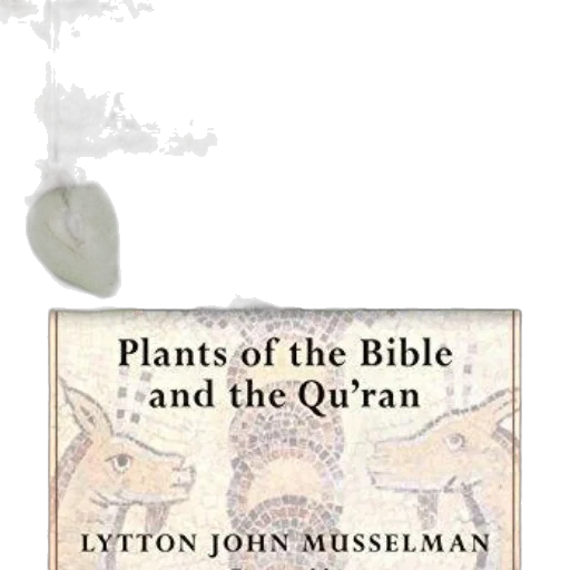 cover, figs, dates, laurel transparent PNG cut-out