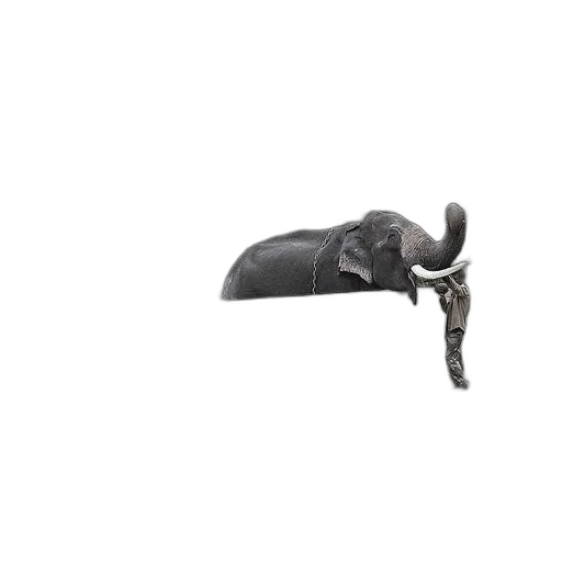 hat, umbrella, weapon, staff transparent PNG cut-out