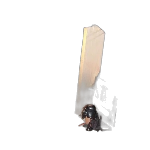 sword, weapon, creature, animal transparent PNG cut-out