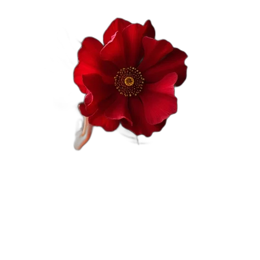 flower, crown, jewelry, staff transparent PNG cut-out