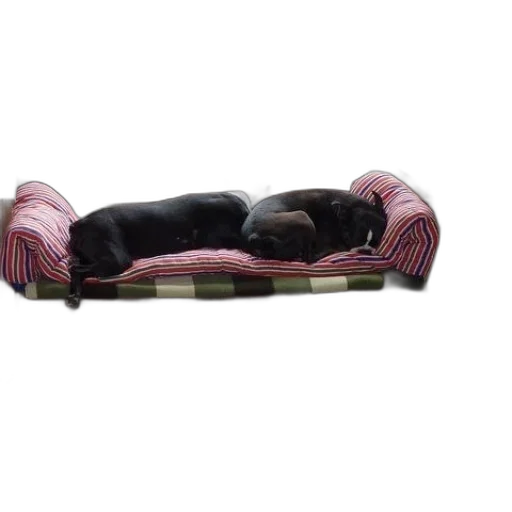 furniture, shoes, car, jewelry transparent PNG cut-out