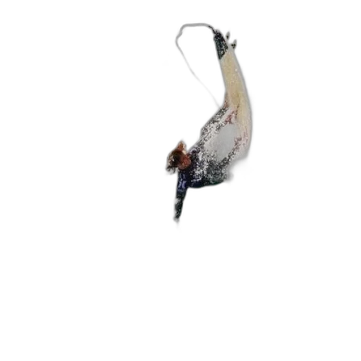 staff, animal, weapon, dragon transparent PNG cut-out
