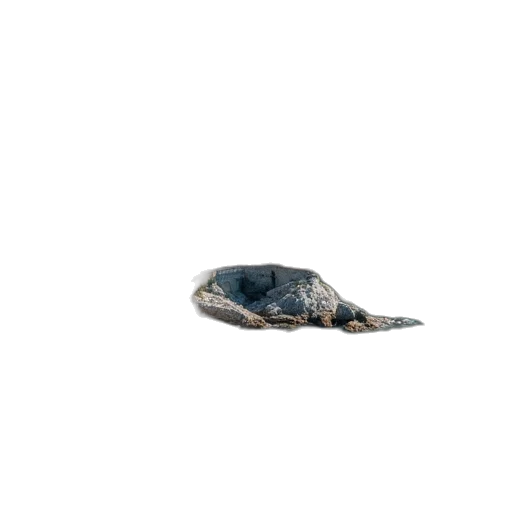 animal, hat, shoes, hair transparent PNG cut-out