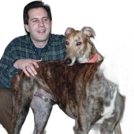 animal, creature, staff, jacket transparent PNG cut-out