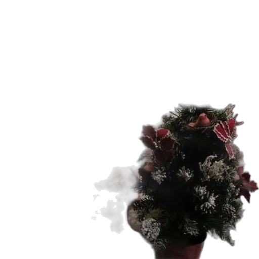 crown, flower, hair, hat transparent PNG cut-out