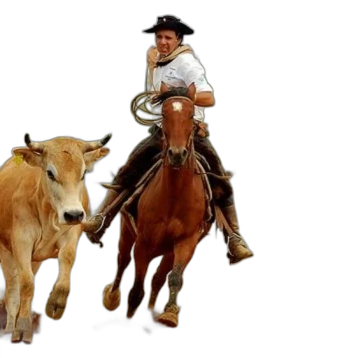 animal, concept art, photorealistic, cowboy transparent PNG cut-out