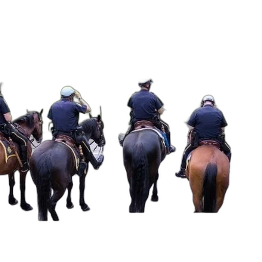 staff, animal, hat, concept art transparent PNG cut-out