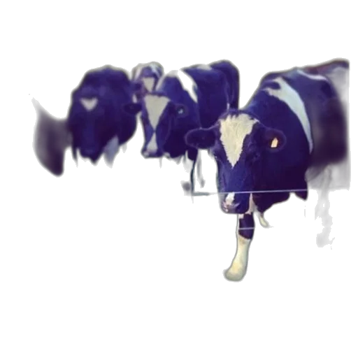 robot, animal, weapon, mask transparent PNG cut-out