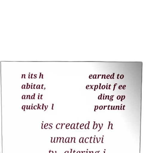 jewelry, text-based, image, discussing transparent PNG cut-out