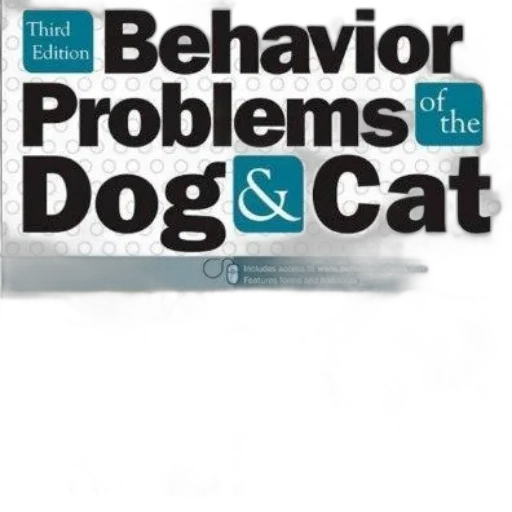 behavior, problems, dog, cat transparent PNG cut-out