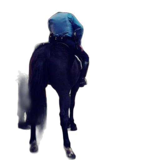 animal, robot, mask, creature transparent PNG cut-out