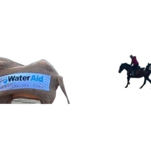 furniture, animal, hat, food transparent PNG cut-out