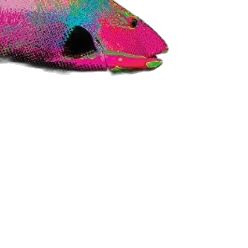 animal, hat, creature, mask transparent PNG cut-out