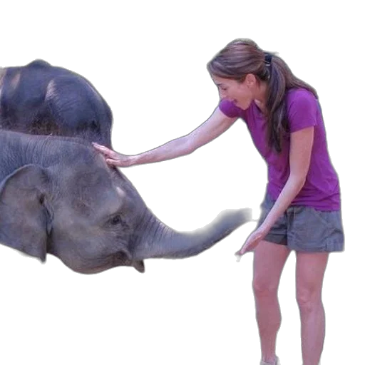 animal, creature, umbrella, staff transparent PNG cut-out