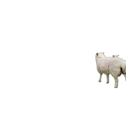 animal, creature, food, weapon transparent PNG cut-out