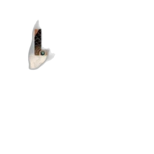 jewelry, shoes, weapon, furniture transparent PNG cut-out