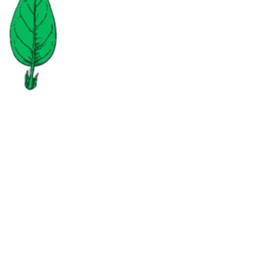 tree, staff, flower, umbrella transparent PNG cut-out