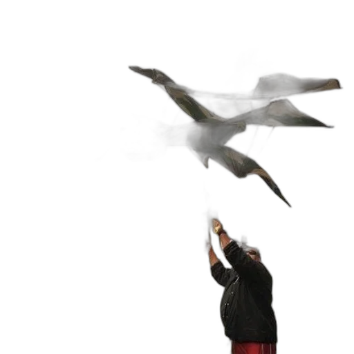 animal, staff, weapon, umbrella transparent PNG cut-out