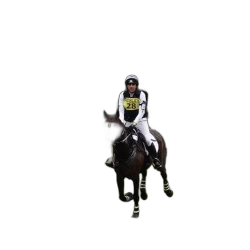 animal, pixel art, rider, horseback transparent PNG cut-out