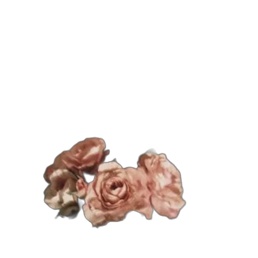 flower, jewelry, crown, food transparent PNG cut-out