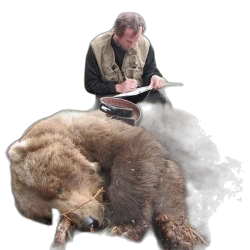 animal, creature, concept art, fire transparent PNG cut-out