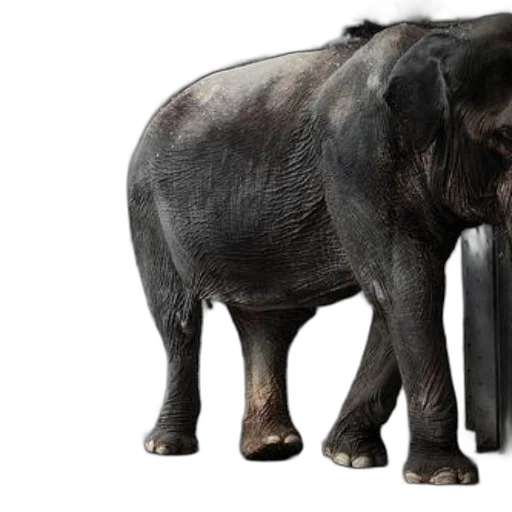 animal, creature, weapon, 3d render transparent PNG cut-out