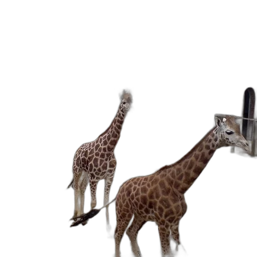 animal, creature, 3d render, concept art transparent PNG cut-out