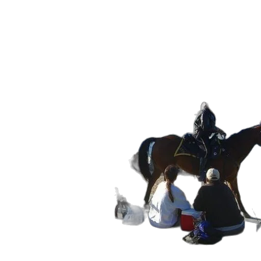 animal, crown, staff, sword transparent PNG cut-out