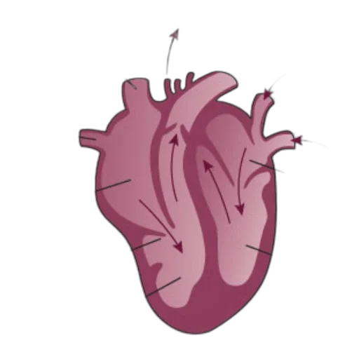 concept art, 3d render, pixel art, cartoon transparent PNG cut-out