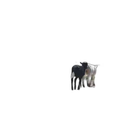 animal, furniture, creature, robot transparent PNG cut-out