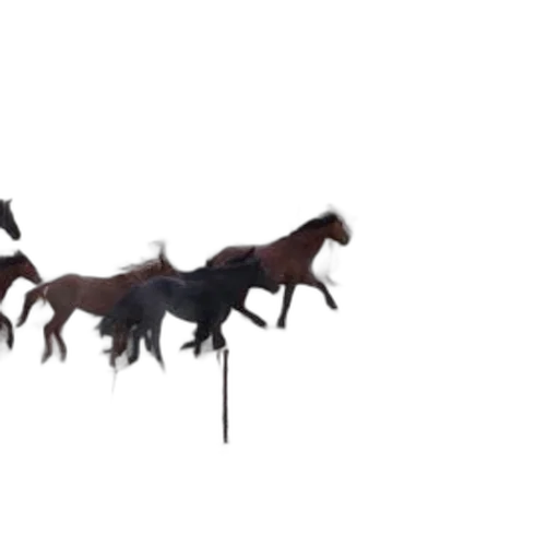 dragon, animal, creature, staff transparent PNG cut-out