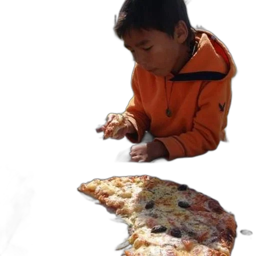 food, jacket, weapon, animal transparent PNG cut-out