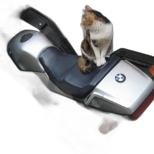 car, animal, photorealistic, 3d render transparent PNG cut-out