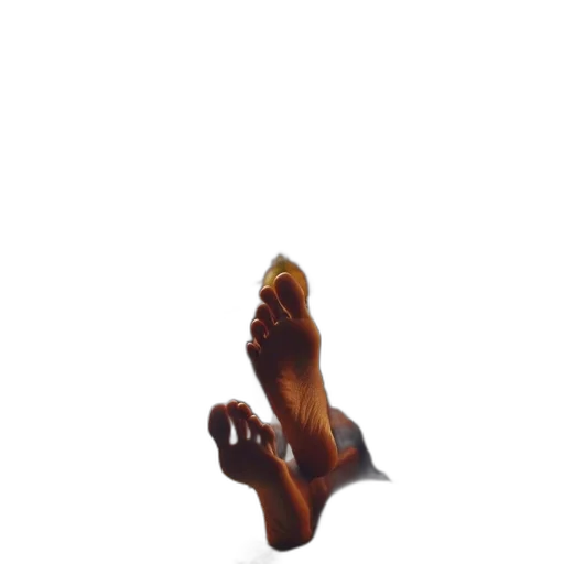 shoes, staff, jewelry, food transparent PNG cut-out