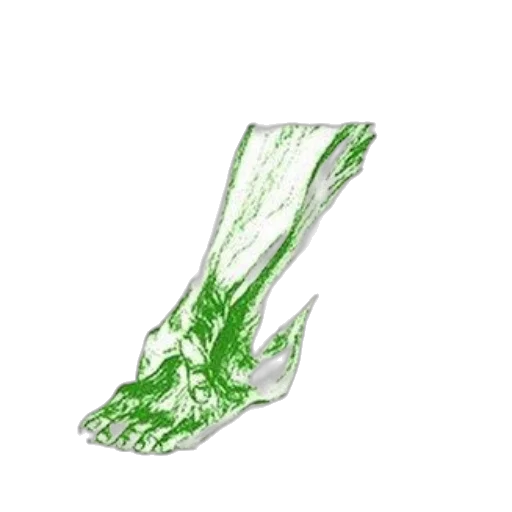 bottle, shoes, crown, weapon transparent PNG cut-out