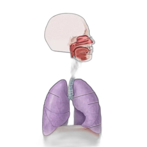 mask, face, concept art, illustration transparent PNG cut-out