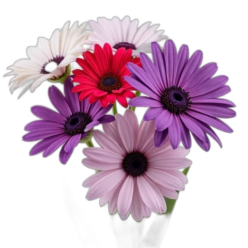 flower, jewelry, crown, photorealistic transparent PNG cut-out